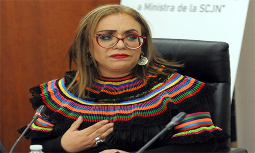 Comisión del Senado aprueba elegibilidad de Eréndira Cruzvillegas como candidata a ministra