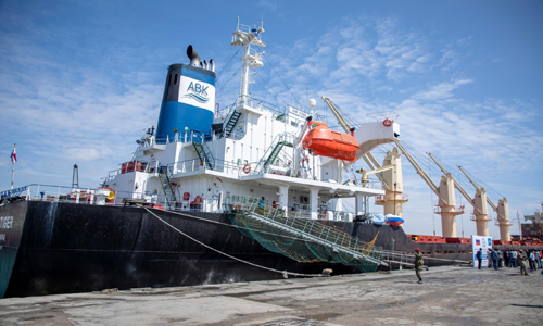 Llega a África el primer barco con grano procedente de Rusia