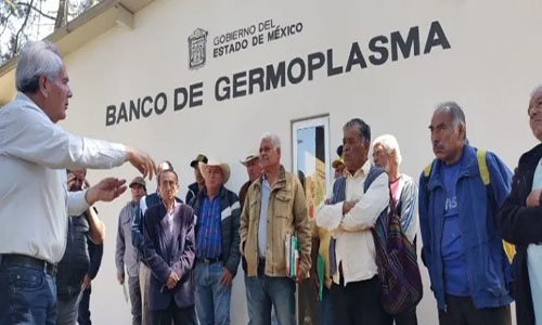 A disposición de productores mexiquenses el banco de germoplasma