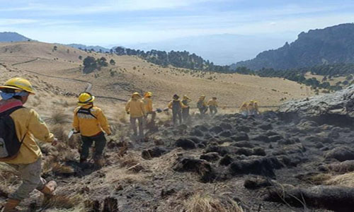 Brigadas controlan incendio forestal en Parque Nacional Izta-Popo