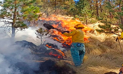 Se mantienen labores de combate al incendio forestal en Santa María del Monte, Zinacantepec