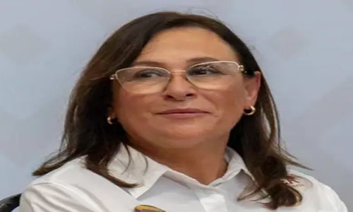Demandan ante FGR a Rocío Nahle por enriquecimiento ilícito