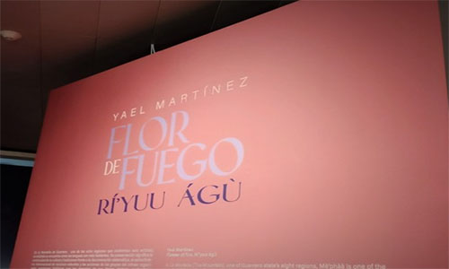 Presentan “Flor de fuego. Rí’yuu ágù”, exposición de Yael Martínez