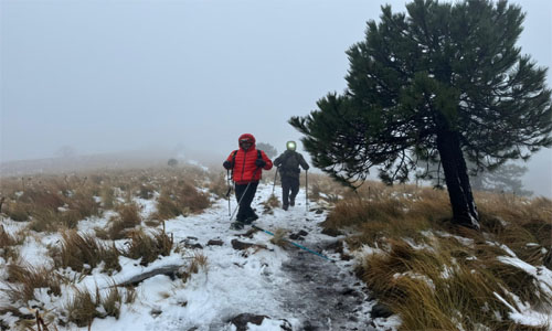 Si visitas el Nevado de Toluca, protege el ecosistema