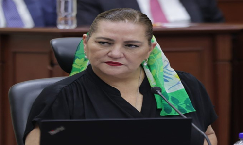 INE tiene capacidad para organizar elecciones más grandes del país: Guadalupe Taddei