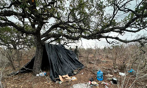 Desmantelan dos campamentos del crimen en Zacatecas