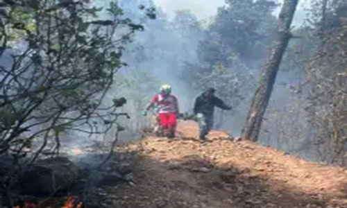 Tres muertos en incendio forestal en Donato Guerra