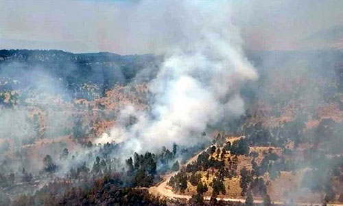 Reportan incendio en faldas del Nevado de Toluca