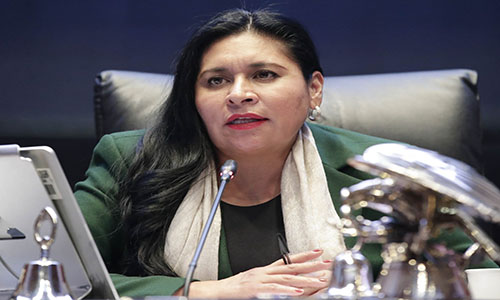 “Ajustes de técnica legislativa” a Fondo de Pensiones: Ana Lilia Rivera