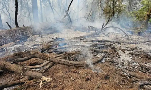 Se queman hectáreas en parajes de “Tlaxmajada” y “Xacachino”, en Ecatzingo