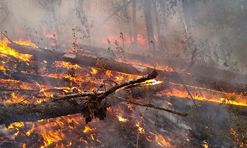 Incendios forestales al sur del Edomex se salen de control