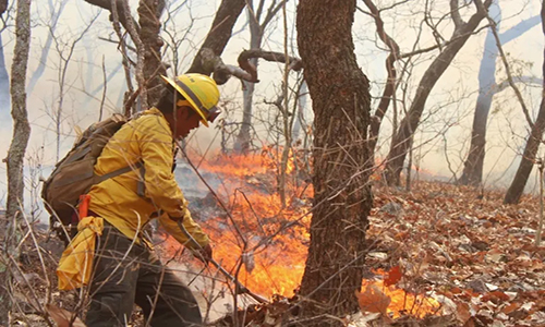 Nuevos incendios forestales afectan Valle de Bravo