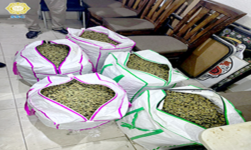 Decomisan 100 kilos de marihuana en Tepito