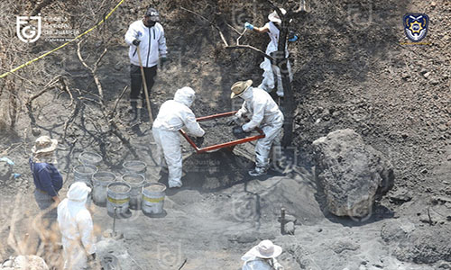 Restos encontrados en crematorio clandestino son de origen animal: Fiscalía CDMX