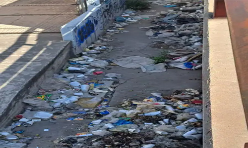 Surgen tiraderos a cielo abierto en Los Reyes La Paz