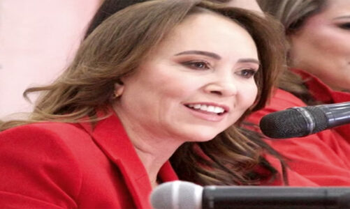 PRI Edomex prevé escasa participación en proceso judicial del 1 de junio