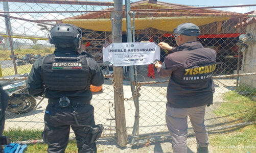 Cateo y aseguramiento en colonia Parques Nacionales