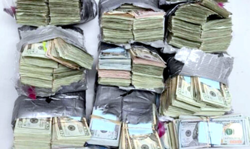 Decomisan autoridades federales 660 mil dólares