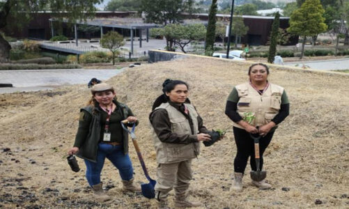 Reforestan Parque de la Ciencia Tlalnepantla