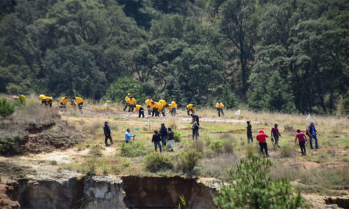 Capacita Probosque a personas para recuperar ecosistemas en zonas boscosas degradadas en Temoaya