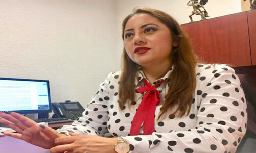 Reforma electoral pone en riesgo operatividad de consejos del INE en NL: Alicia Castro