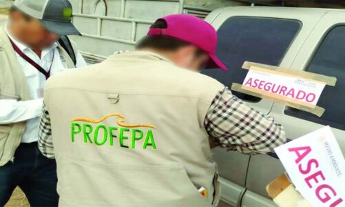 Clausuran predios y aserraderos  ilegales en Jiquipilco y Huixquilucan