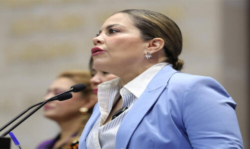 Diputada del PT acusa a Morena de ciberacoso por rechazo a reforma electoral