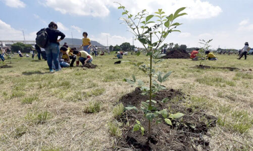 UAEMéx convoca a estudiantes integrarse a Brigadas Universitarias Multidisciplinarias