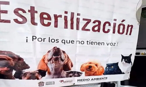 Nezahualcóyotl contará con policías bilingües