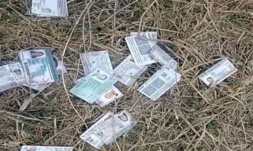 Identificaciones de personas desaparecidas aparecen en paraje cercano al AIFA