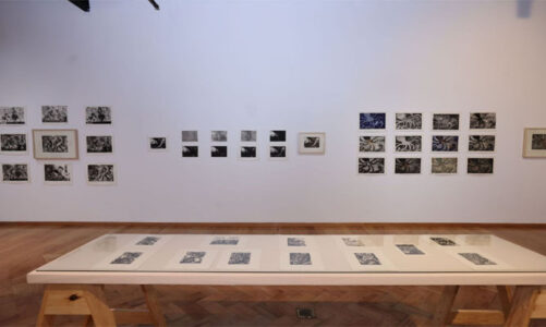 UAEMéx exhibe “Procesos”, obra gráfica de Francisco Toledo