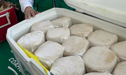 Buscan frenar venta irregular de tortilla