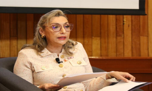 A pesar de esfuerzos, las mujeres siguen siendo víctimas de diversos tipos de violencia: Macedo Barceinas