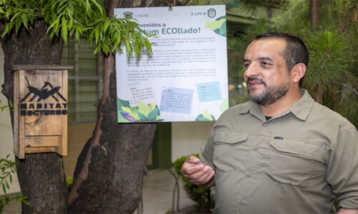 Murciélagos, aliados invisibles para la agricultura y el equilibrio ambiental