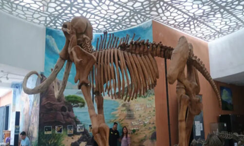Noche de Museos y Aventura Jurásica, sinónimos de diversión
