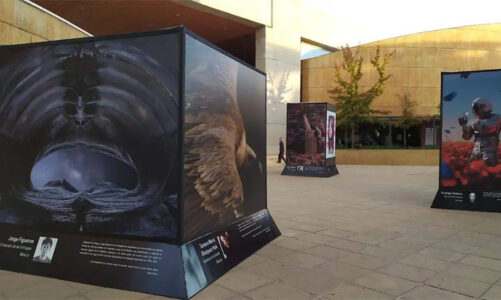 Inauguran la exposición Extramuros