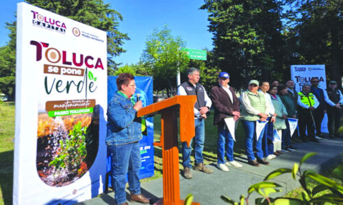 Toluca más limpia y verde gracias al impulso del alcalde Ricardo Moreno