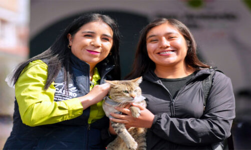 Alejandra Castro realiza una jornada de esterilización y de vacunas antirrábicas