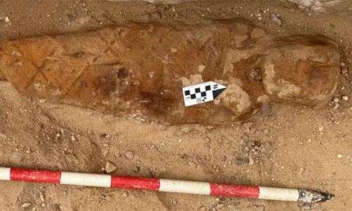 Arqueólogos hallan una momia con un fragmento de la “Ilíada” en Egipto