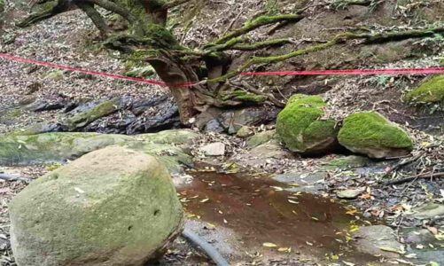 PT Edoméx respalda acciones legales de comunidades indígenas