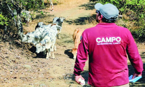 SeCampo y Legislatura mexiquense suman esfuerzos para combatir al gusano barrenador