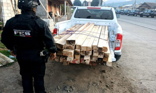 Asegurados dos inmuebles vinculados a la tala clandestina en Ocuilan