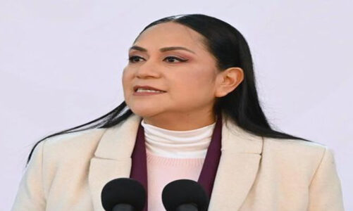 Delincuentes defendiendo a delincuentes: Ariadna Montiel