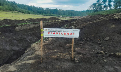 Clausura Profepa actividades ilegales en tres áreas naturales protegidas en Edoméx