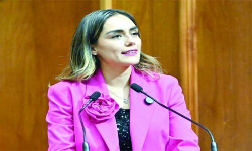 El 20.9 % de las personas de 12 años y más ha sido víctimas de ciberacoso: Zaira Cedillo