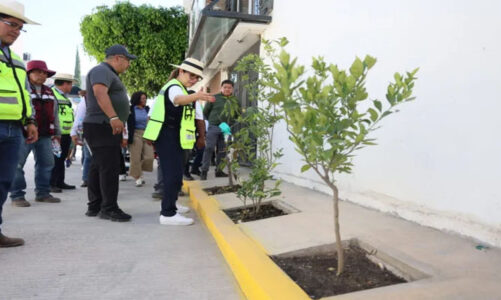 Ecatepec apuesta por calles verdes y pavimentación sustentable