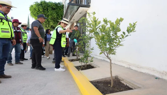 Ecatepec apuesta por calles verdes y pavimentación sustentable