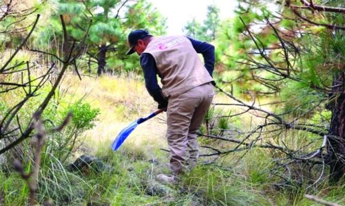 Critican colectivos convenio de búsqueda en bosques