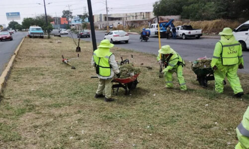 Refuerzan limpieza de camellones y laterales en La Paz
