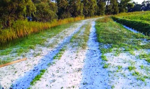 Granizadas golpean al campo mexiquense